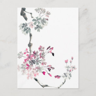 Hanami Blooming sakura branch Postcard