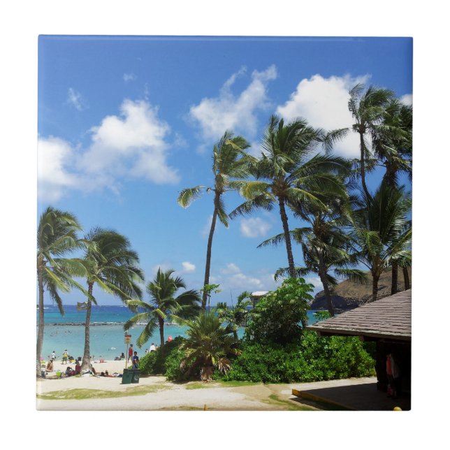 Hanauma Bay Hawaii Coconut Trees Tile (Front)