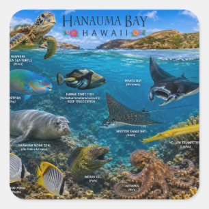 Hanauma Bay Hawaii Square Sticker