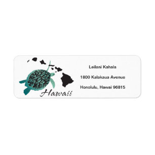 Hanauma Bay Hawaii Turtle