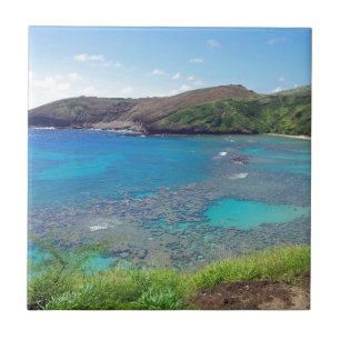 Hanauma Bay Oahu Hawaii Tile