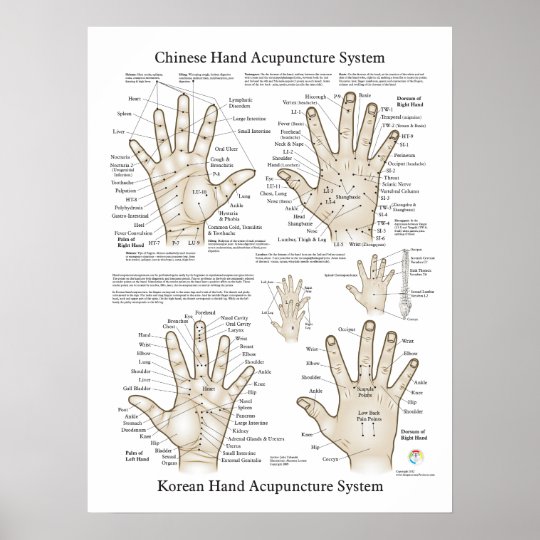 Hand Acupuncture Points Therapy Poster Zazzleca