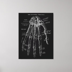 Hand Anatomy Large Canvas Wall Art 36x48"