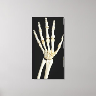 Hand Bones Canvas Print