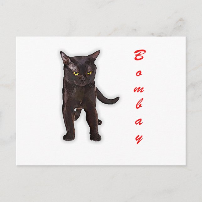 Hand Draw Funny Bombay Cat Japan Gift Dad Mom Postcard (Front)