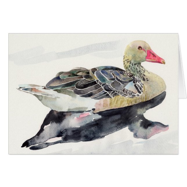 Hand Draw Watercolor Bird, Duck (Front Horizontal)