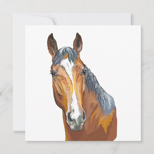 Hand drawing bay horse throw pillow (Front)