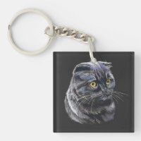 Hand drawing funny fluffy Black brittish cat.