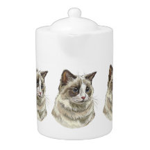 Hand drawing luffy Ragdoll cat