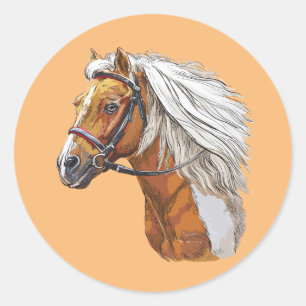 Hand drawing pinto horse portrait classic round sticker