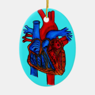 Hand Drawn Aqua Anatomical Heart Ceramic Ornament