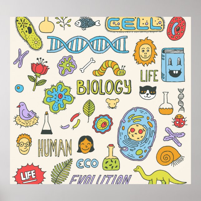 Hand-drawn biology, vintage illustration poster (Front)