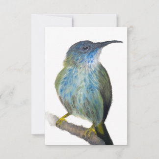 Hand-drawn blue tinted hummingbird notecard. thank you card