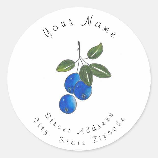 Hand Drawn Blueberries 3 Classic Round Sticker (Front)