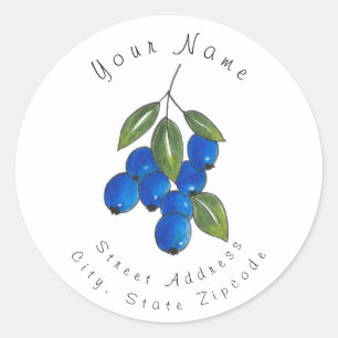 Hand Drawn Blueberries Classic Round Sticker