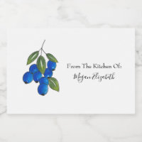 Hand Drawn Blueberries 