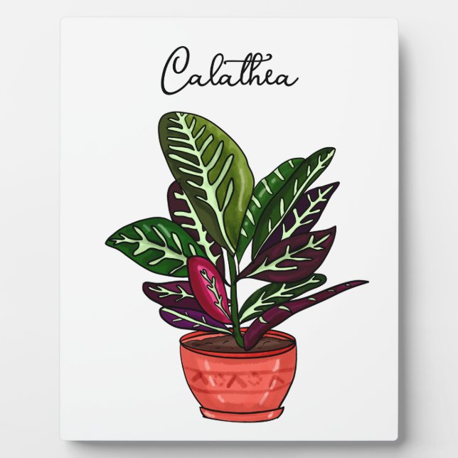 Hand drawn Calathea Plaque (Front)