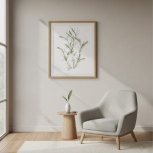 Hand-Drawn Chara fragilis Seaweed Canvas Print