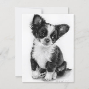 Hand Drawn Chihuahua Puppy Artwork Postcard