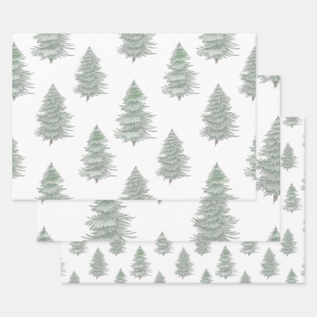 Hand Drawn Evergreen Tree Pattern Wrapping Paper Sheet (Set)
