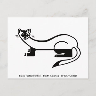 Hand drawn - FERRET - Conservation -Nature- Postcard