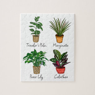 Hand Drawn House Plants Art Jigsaw Puzzle