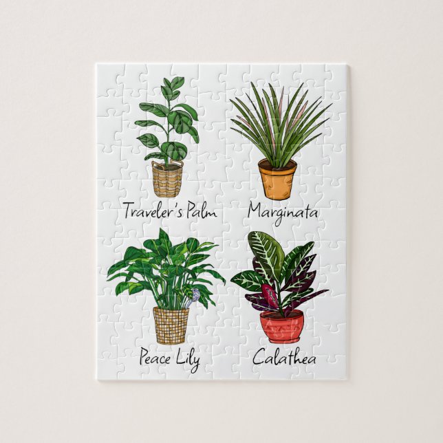 Hand Drawn House Plants Art   Jigsaw Puzzle (Vertical)