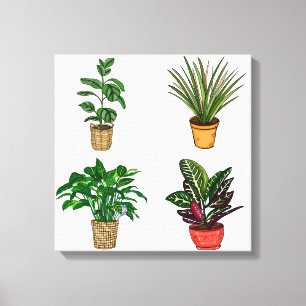 Hand drawn Houseplant Art Canvas  