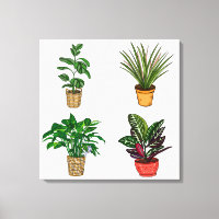 Hand drawn Houseplant Art