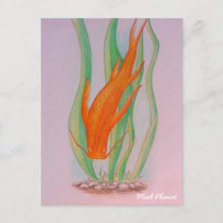 Hand Drawn Koi Carp Postcard