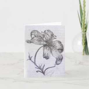 Hand-drawn Lily Card