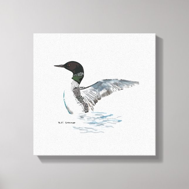 hand drawn loon image canvas print (Front)