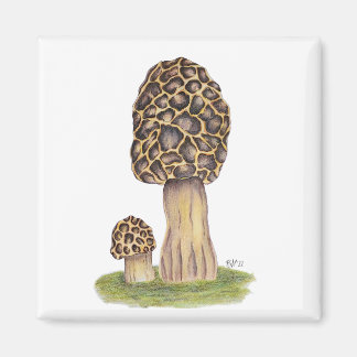 Hand Drawn Morel Mushroom Magnet