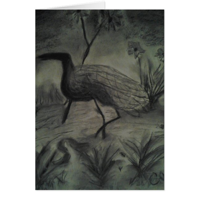 Hand Drawn Pictures For All Occasions (Front)