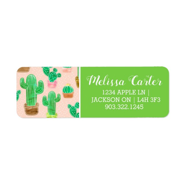 Hand Drawn Potted Cactus Pattern (Front)