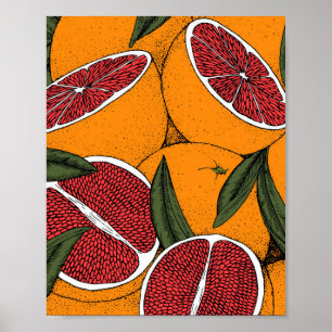 Hand drawn print with grapefruits