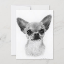 Hand Drawn Short Haired Chihuahua - Gentle Express Postcard