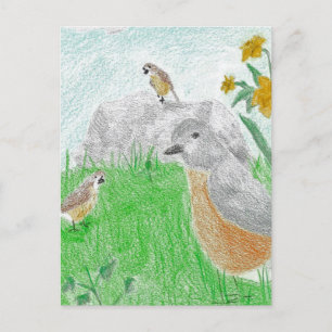 Hand-drawn Springtime Daffodils Robins Postcard