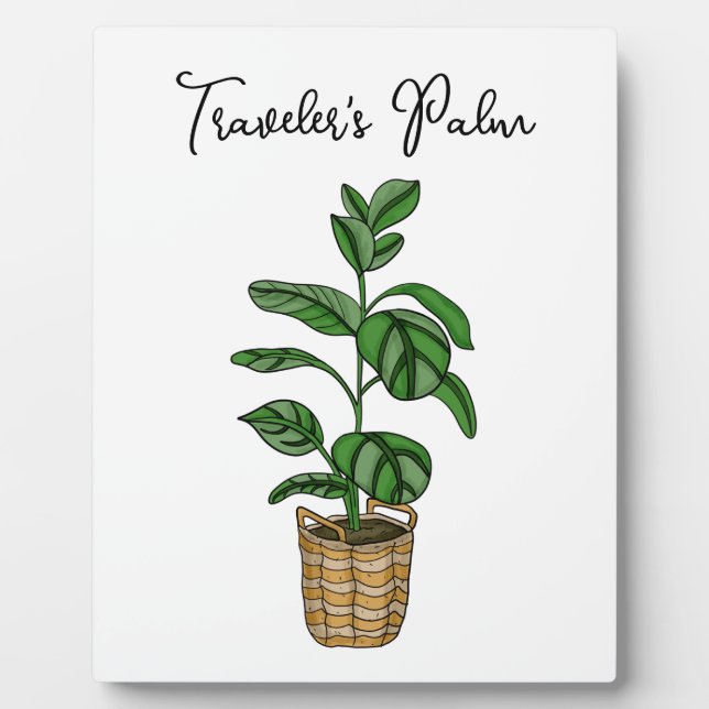 Hand drawn Traveller's Palm Plaque (Front)