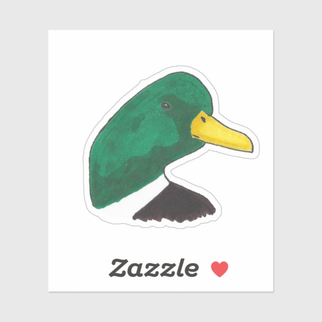 Hand-drawn Wildlife Nature Bird Mallard Duck (Sheet)