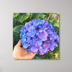 Hand Held Blue Hydrangea Impressionist Garden Canvas Print