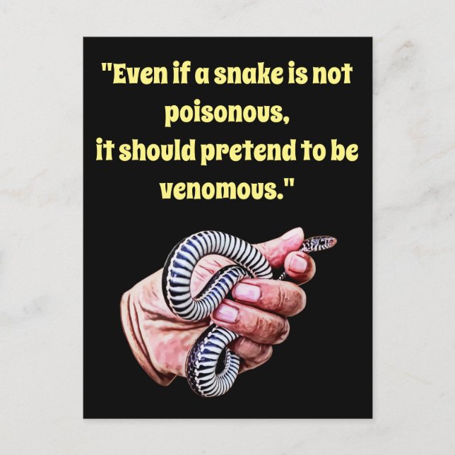 hand holding baby snake quote reptile animals art postcard (Front)
