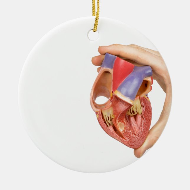 Hand holding model open human heart on white.jpg ceramic ornament (Front)