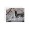 Hand Lettering Photo Wedding Thank You Postcard