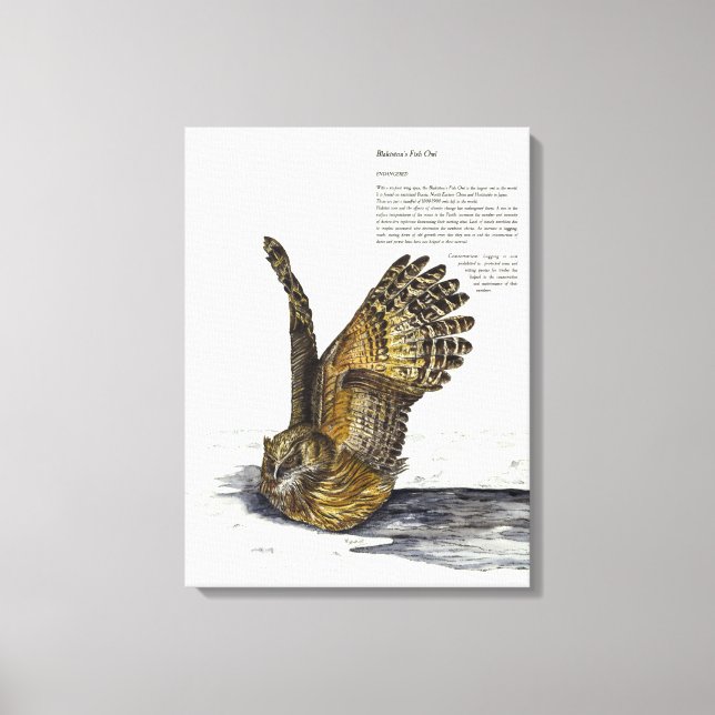 Hand Paint Endangered Owl Print Canvas (Front)