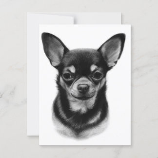 Hand Painted Chihuahua Pet Portrait Postcard