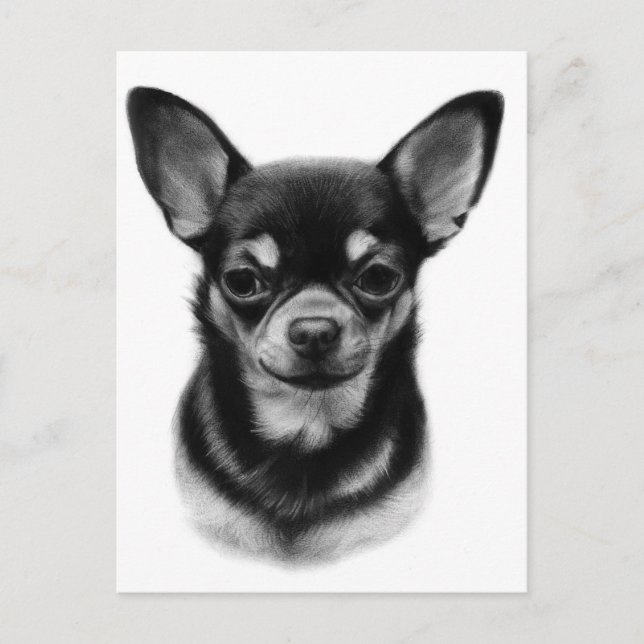 Hand Painted Chihuahua Pet Portrait Postcard (Front)