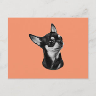 Hand painted chihuahua postcard