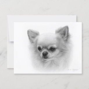 Hand Painted Chihuahua with Soulful Eyes Postcard