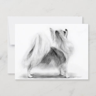 Hand Painted Elegant Long Haired Chihuahua  Postcard